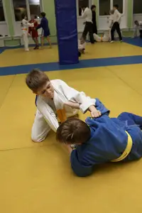 Первенство "Упрощенное дзюдо и самбо» 2015 г.р.