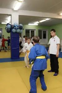 Первенство "Упрощенное дзюдо и самбо» 2015 г.р.