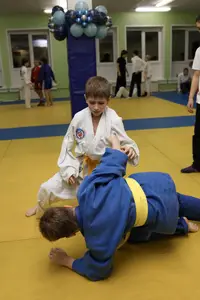 Первенство "Упрощенное дзюдо и самбо» 2015 г.р.