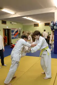 Первенство "Упрощенное дзюдо и самбо» 2015 г.р.