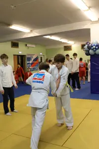 Первенство "Упрощенное дзюдо и самбо» 2015 г.р.