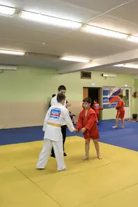 Первенство "Упрощенное дзюдо и самбо» 2015 г.р.