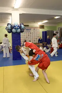 Первенство "Упрощенное дзюдо и самбо» 2015 г.р.