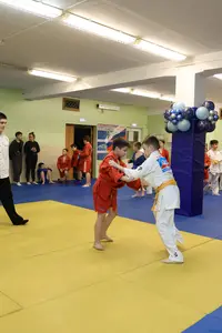 Первенство "Упрощенное дзюдо и самбо» 2015 г.р.