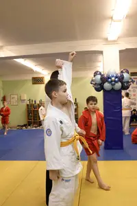 Первенство "Упрощенное дзюдо и самбо» 2015 г.р.