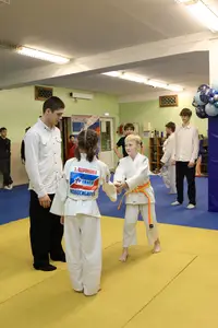 Первенство "Упрощенное дзюдо и самбо» 2015 г.р.