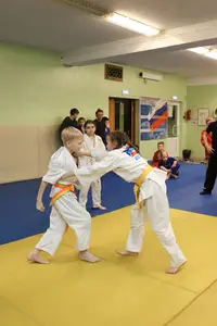 Первенство "Упрощенное дзюдо и самбо» 2015 г.р.