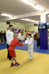 Первенство "Упрощенное дзюдо и самбо» 2015 г.р.