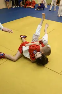 Первенство "Упрощенное дзюдо и самбо» 2015 г.р.