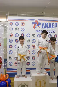 Первенство "Упрощенное дзюдо и самбо» 2015 г.р.