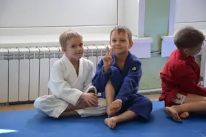 Первенство посвященное Дню Победы  «СУМО 2*2» 2017 г.р.