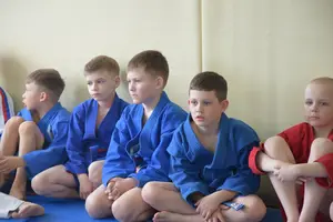 Первенство посвященное Дню Победы  «СУМО 2*2» 2017 г.р.