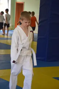 Первенство посвященное Дню Победы  «СУМО 2*2» 2017 г.р.