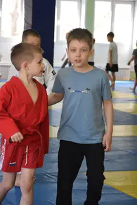 Первенство посвященное Дню Победы  «СУМО 2*2» 2017 г.р.