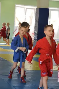 Первенство посвященное Дню Победы  «СУМО 2*2» 2017 г.р.