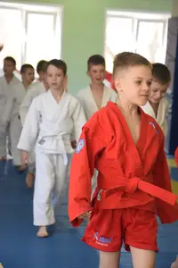 Первенство посвященное Дню Победы  «СУМО 2*2» 2017 г.р.