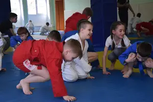 Первенство посвященное Дню Победы  «СУМО 2*2» 2017 г.р.