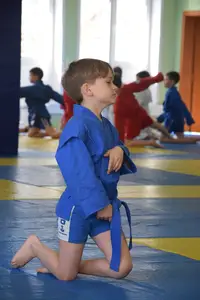 Первенство посвященное Дню Победы  «СУМО 2*2» 2017 г.р.