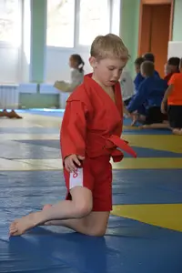 Первенство посвященное Дню Победы  «СУМО 2*2» 2017 г.р.