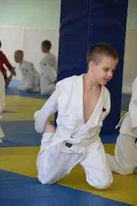 Первенство посвященное Дню Победы  «СУМО 2*2» 2017 г.р.