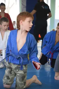 Первенство посвященное Дню Победы  «СУМО 2*2» 2017 г.р.