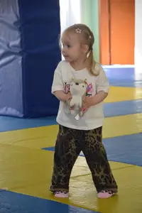 Первенство посвященное Дню Победы  «СУМО 2*2» 2017 г.р.