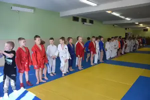 Первенство посвященное Дню Победы  «СУМО 2*2» 2017 г.р.