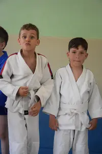 Первенство посвященное Дню Победы  «СУМО 2*2» 2017 г.р.