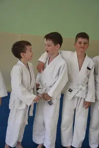 Первенство посвященное Дню Победы  «СУМО 2*2» 2017 г.р.