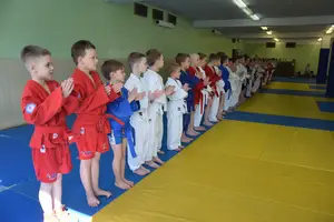 Первенство посвященное Дню Победы  «СУМО 2*2» 2017 г.р.