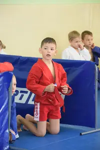 Первенство посвященное Дню Победы  «СУМО 2*2» 2017 г.р.