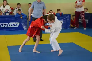 Первенство посвященное Дню Победы  «СУМО 2*2» 2017 г.р.