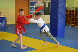 Первенство посвященное Дню Победы  «СУМО 2*2» 2017 г.р.