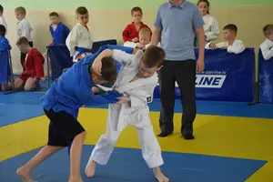 Первенство посвященное Дню Победы  «СУМО 2*2» 2017 г.р.