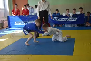 Первенство посвященное Дню Победы  «СУМО 2*2» 2017 г.р.