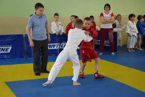 Первенство посвященное Дню Победы  «СУМО 2*2» 2017 г.р.