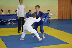 Первенство посвященное Дню Победы  «СУМО 2*2» 2017 г.р.