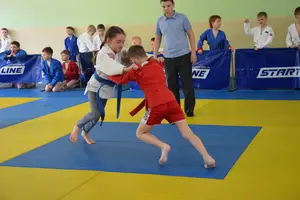 Первенство посвященное Дню Победы  «СУМО 2*2» 2017 г.р.