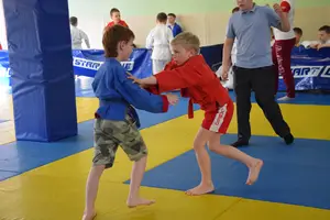 Первенство посвященное Дню Победы  «СУМО 2*2» 2017 г.р.