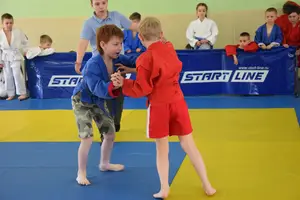 Первенство посвященное Дню Победы  «СУМО 2*2» 2017 г.р.