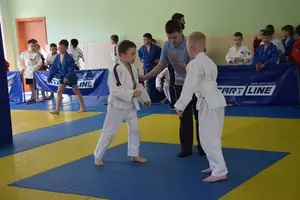 Первенство посвященное Дню Победы  «СУМО 2*2» 2017 г.р.