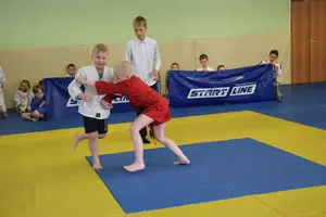 Первенство посвященное Дню Победы  «СУМО 2*2» 2017 г.р.