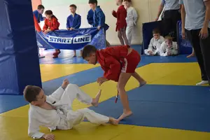 Первенство посвященное Дню Победы  «СУМО 2*2» 2017 г.р.