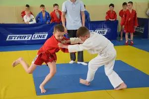 Первенство посвященное Дню Победы  «СУМО 2*2» 2017 г.р.