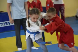 Первенство посвященное Дню Победы  «СУМО 2*2» 2017 г.р.