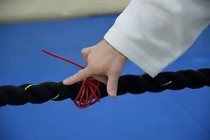 Эстафета посвященная Дню Защитника Отечества 2017 г.р.