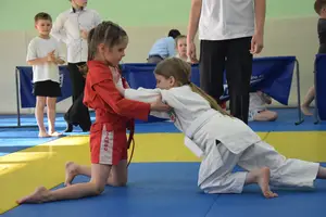 Первенство посвященное Дню Победы «Сумо в партере» 2019 г.р.