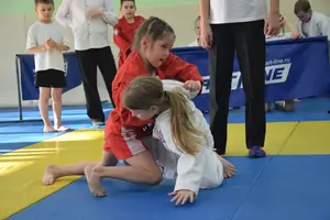 Первенство посвященное Дню Победы «Сумо в партере» 2019 г.р.