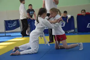 Первенство посвященное Дню Победы «Сумо в партере» 2019 г.р.