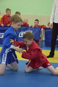 Первенство посвященное Дню Победы «Сумо в партере» 2019 г.р.